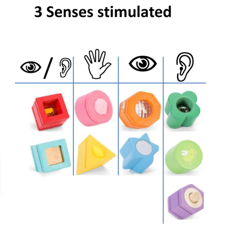 Sensory Shapes