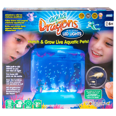 Aqua Dragons Deluxe